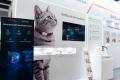 SATELLAI(サテライ)、IFA 2026でAIペットインテリジ SATELLAI(サテライ)、IFA 2026でAIペットインテリジ