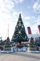 東京ディズニーリゾート(R)のクリスマス 東京ディズニーリゾート(R)のクリスマス