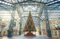 東京ディズニーリゾート(R)のクリスマス 東京ディズニーリゾート(R)のクリスマス