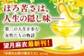 京都在住の人気作家・望月麻衣が贈る待望の単行本第2