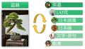 世界約40か国が集う「世界盆栽大会」にて盆栽AIプラッ