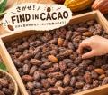 「Tokyo Chocolate Salon2026」丸の内TOKIAにて10月3
