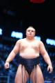 大関・安青錦×パリ五輪金メダリスト・出口クリスタ相