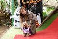 【PAW 初！】HappyワンDayフェスタ♪ウェルネス Hallow
