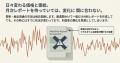 青果卸に“AI経営参謀”が常駐する時代へ。DXONEが新機