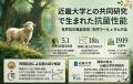 「タヒボって何？」から始まった新しいウールインナー