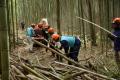 群馬県の地域の魅力を味わう! 地域の魅力を再発見す 群馬県の地域の魅力を味わう! 地域の魅力を再発見す