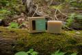 スリランカ発「Sinharaja Herbs Japan」から新商品3種 スリランカ発「Sinharaja Herbs Japan」から新商品3種