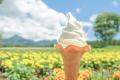 花畑気球体験！10haの花畑と八ヶ岳の絶景を空から満喫