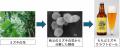 【埼玉県】SAITEC北部研究所で研究開発した秩父由来の 【埼玉県】SAITEC北部研究所で研究開発した秩父由来の