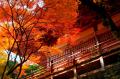祈りの里・国東半島の銘酒が、大阪・KITTEへ。11月1日