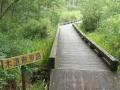 【北海道 釧路市】開園以来初!シロテテナガザルの赤 【北海道 釧路市】開園以来初!シロテテナガザルの赤