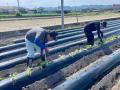 【さつまいもで淡路島をもっと元気に！】神戸のアパレ