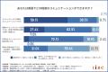 【IIBC調査】「英語を話せます」のハードル、高すぎる
