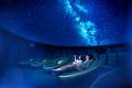 アロマとともに宇宙を旅するヒーリングプラネタリウム アロマとともに宇宙を旅するヒーリングプラネタリウム