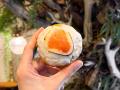 パンのような“もっちり感”を追求し生地から開発。揚げ