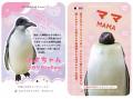 １９羽のコウテイペンギン、一羽一羽の“名前”と“個性”