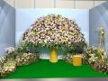 「ミライのハナ」と一面の植物でお出迎え 「ミライのハナ」と一面の植物でお出迎え