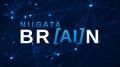 【9/30締切・定員20社】新潟IPC財団『NIIGATA BR[AI]N