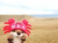 鳥取県は“ぬい活”を応援します!「#ぬい活鳥取」SNSキ 鳥取県は“ぬい活”を応援します!「#ぬい活鳥取」SNSキ