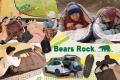 秋キャンプの寝袋にもう1枚。Bears Rockのインナーシ