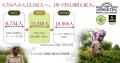 英国紅茶ブランド「AHMAD TEA」、「The Grocer Gold A