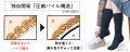 シリーズ累計1,600万足を販売したヒット商品から新登 シリーズ累計1,600万足を販売したヒット商品から新登