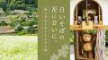 大切な“うちの子”とぬいぐるみ神社へ行く思い出の旅を 大切な“うちの子”とぬいぐるみ神社へ行く思い出の旅を