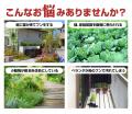 実りの秋は、動物にとっても収穫期。3面センサーで死 実りの秋は、動物にとっても収穫期。3面センサーで死