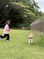 「愛犬と、秋風そよぐ伊勢でリトリート旅」和モダンな