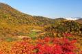 10月3日(土)紅葉ウィーク開幕!長野県小谷村・栂池 10月3日(土)紅葉ウィーク開幕!長野県小谷村・栂池
