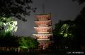 【上野動物園】20時まで開園する「秋の夜のどうぶつえ