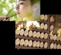 90周年を迎えるカネボウ化粧品と、京都最古の神社の一
