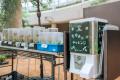 【海洋博公園】～県内外の植物専門店が沖縄に集結～GR