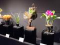 【海洋博公園】～県内外の植物専門店が沖縄に集結～GR