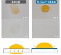食品包装や衣類など、身近な製品はどう変わる？世界で