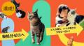 ネコリパートナーズとトラストバンク、猫好きのための