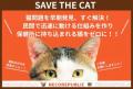 ネコリパートナーズとトラストバンク、猫好きのための
