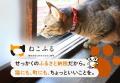 ネコリパートナーズとトラストバンク、猫好きのための