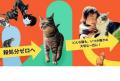 ネコリパートナーズとトラストバンク、猫好きのための