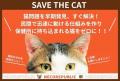 ネコリパートナーズとトラストバンク、猫好きのための