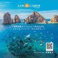 【カフェコムサ】神様が集うまち、島根県が誇るぶどう