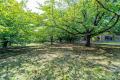 川口・領家エリアに賑わいと地域交流を創出。9月26日