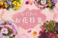その美容アイテム、ふるさと納税で選べます。「おだわ