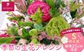 その美容アイテム、ふるさと納税で選べます。「おだわ