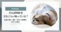 【ペット保険ランキング】2026年9月最新版｜実際の申