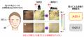 目もとは頬より重力による影響を受けやすい!~重力に 目もとは頬より重力による影響を受けやすい!~重力に