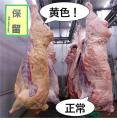 山形県に就職を希望する獣医系大学生の皆さんへ！