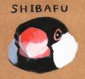 文鳥ファン必見!!見どころいっぱい!今年も「なら文 文鳥ファン必見!!見どころいっぱい!今年も「なら文