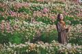 山上リゾートで「秋を使い切る一日」！「GARDEN FEST 